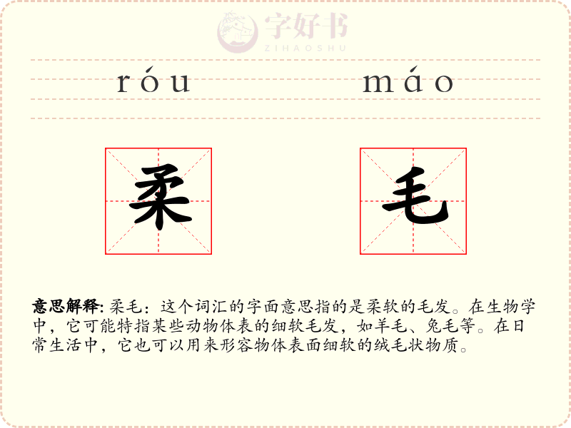 柔毛
