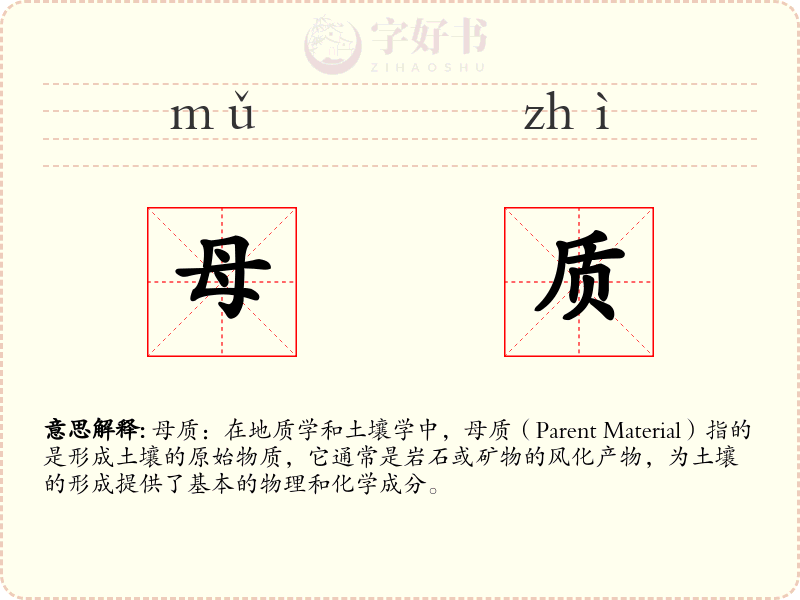母质