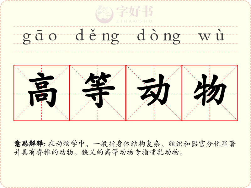 高等动物