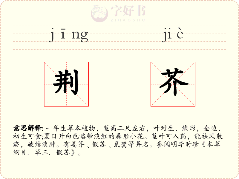 荆芥
