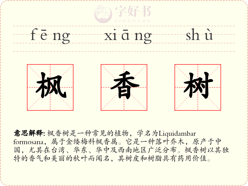 枫香树