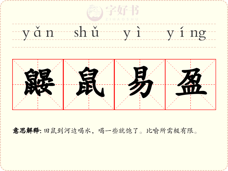 鼹鼠易盈