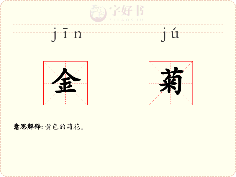金菊