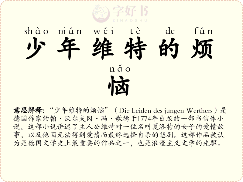 少年维特的烦恼