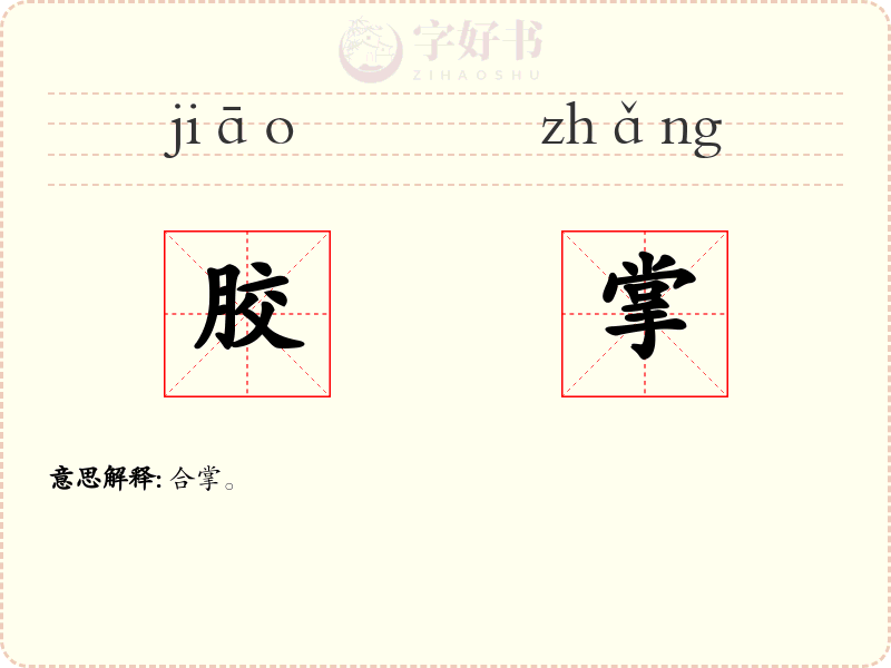 胶掌