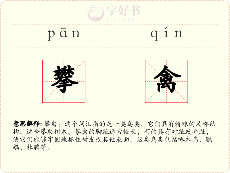 攀禽