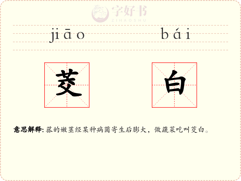 茭白