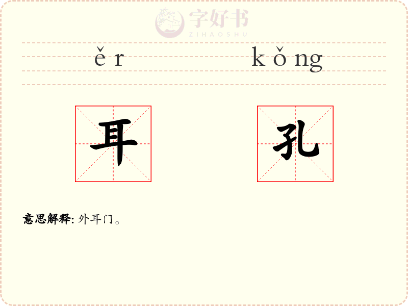耳孔