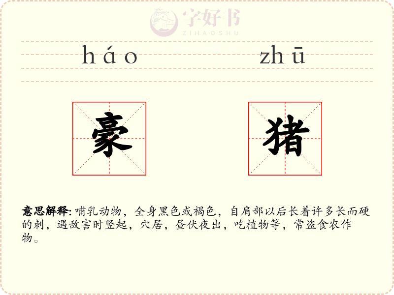 豪猪
