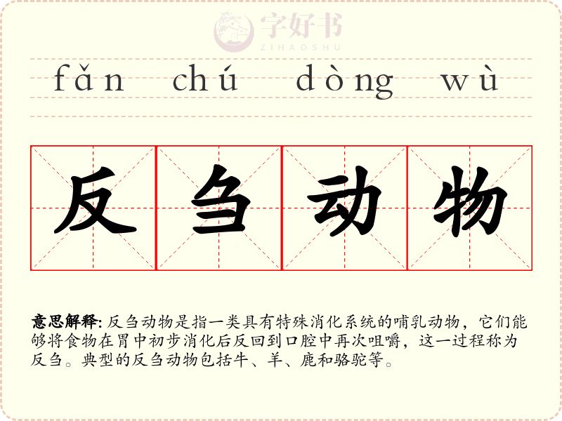 反刍动物