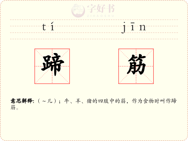 蹄筋