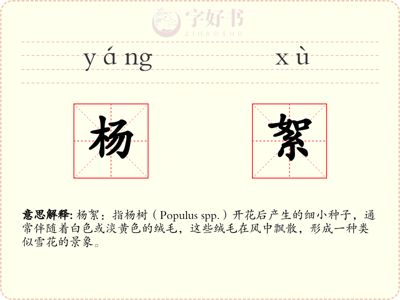 杨絮