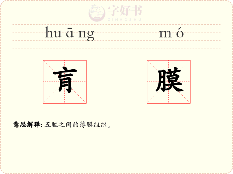 肓膜