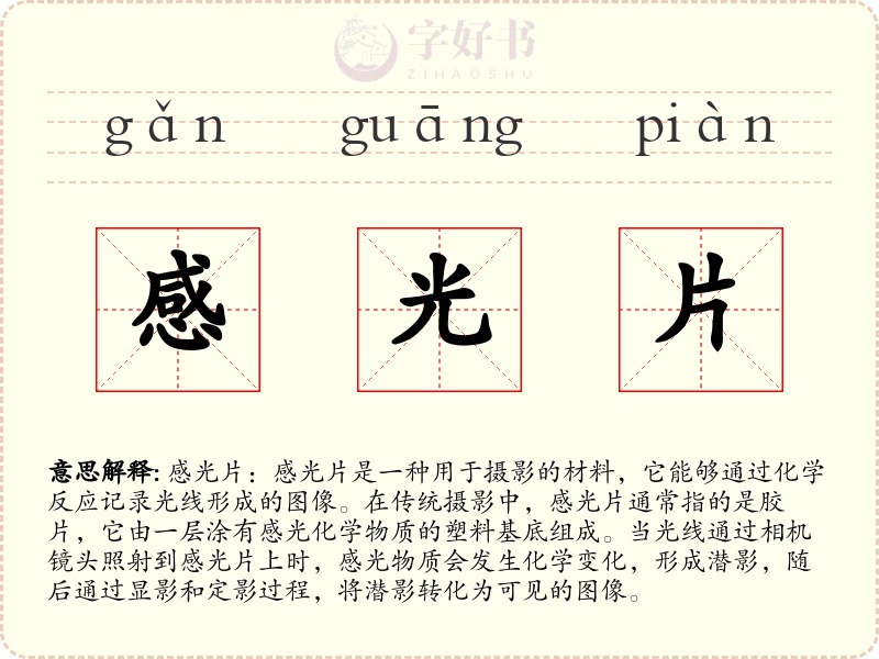 感光片