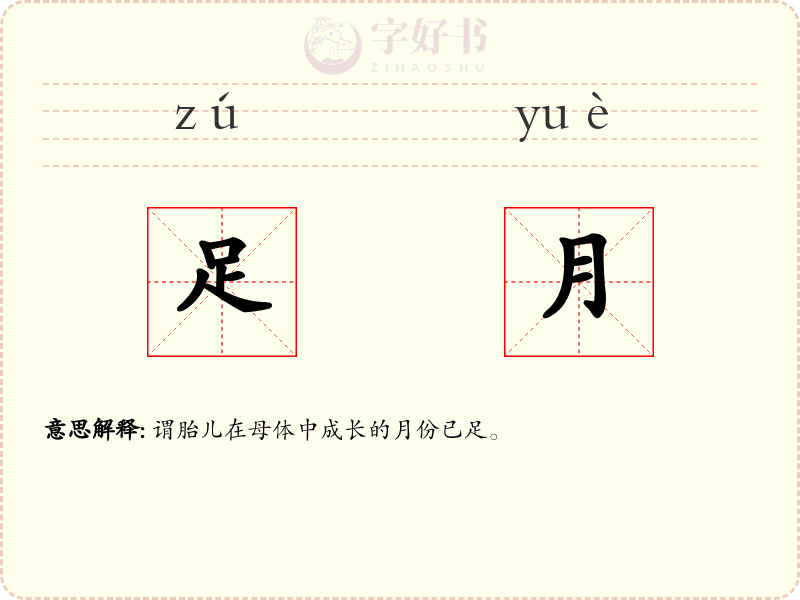 足月