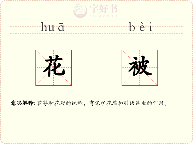 花被
