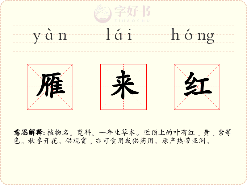 雁来红
