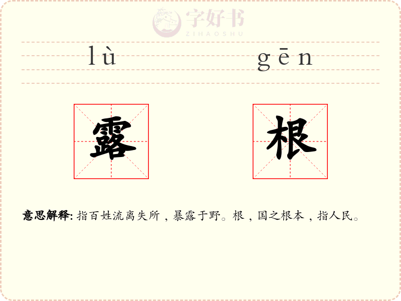 露根