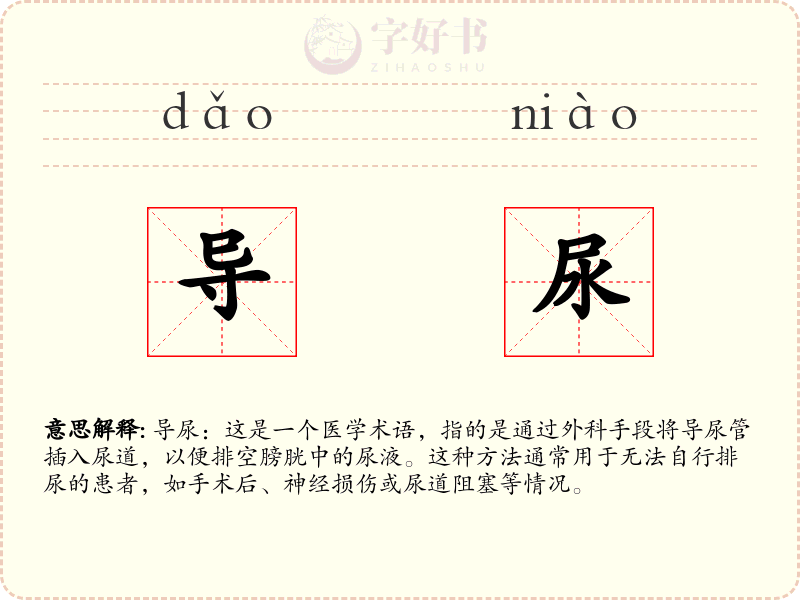 导尿