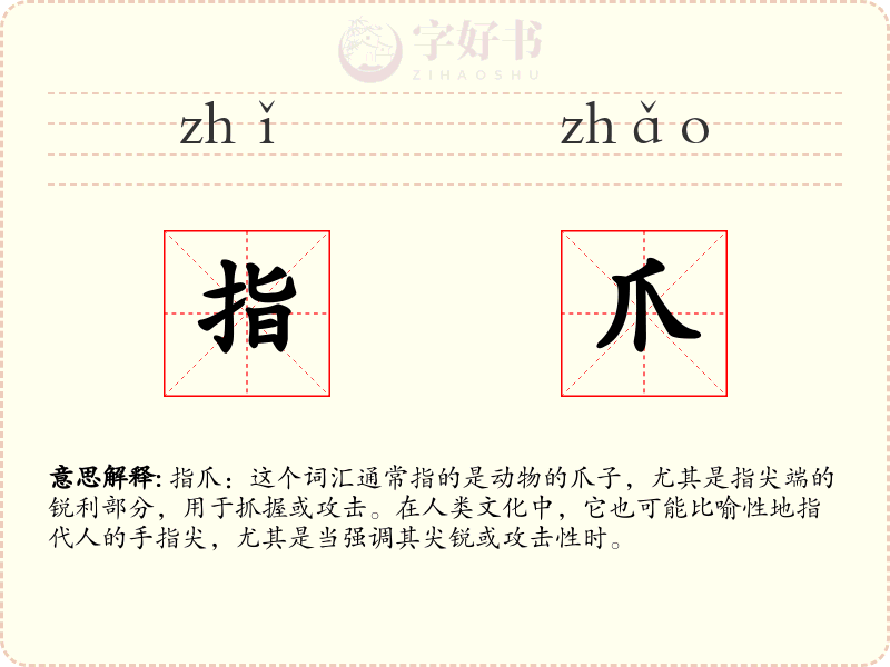 指爪