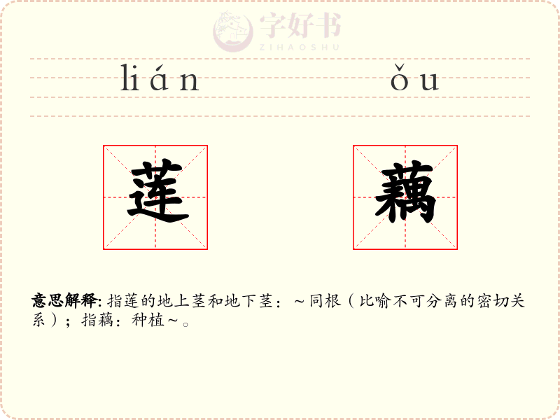 莲藕