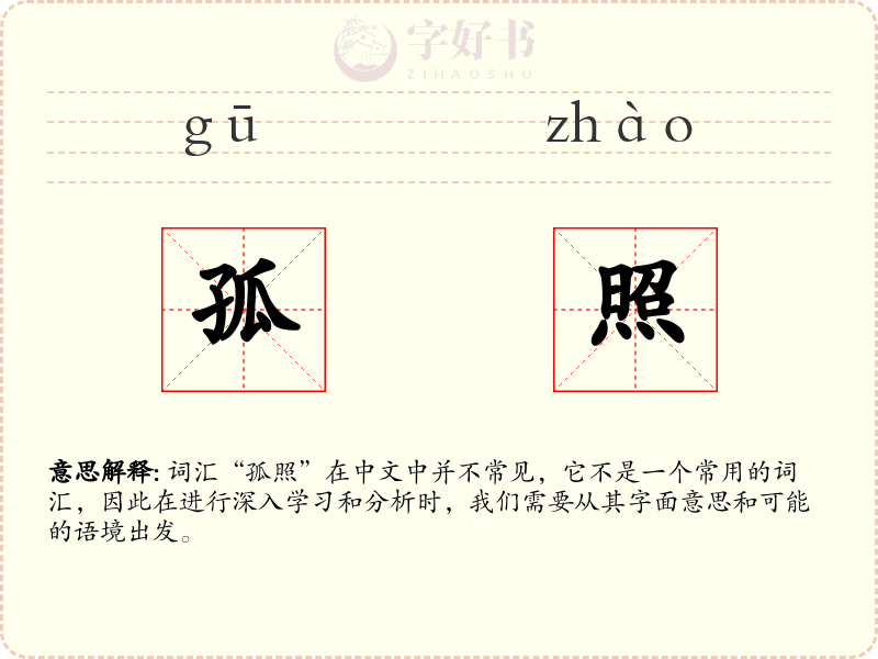 孤照