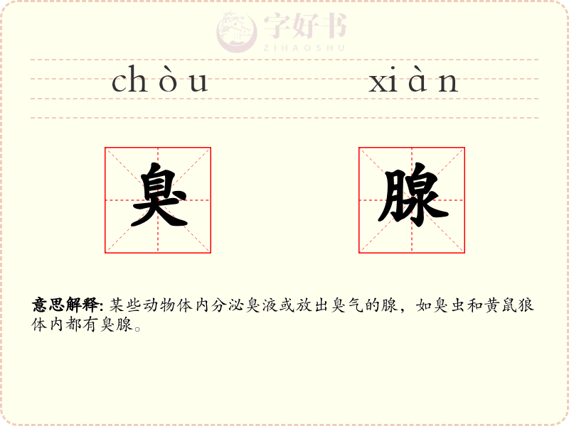 臭腺