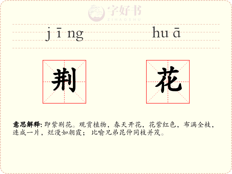 荆花