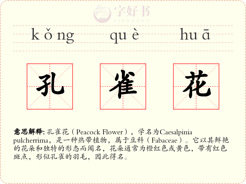 孔雀花