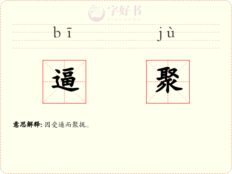 逼聚