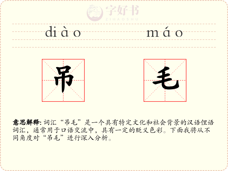 吊毛