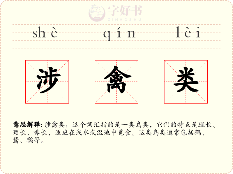 涉禽类