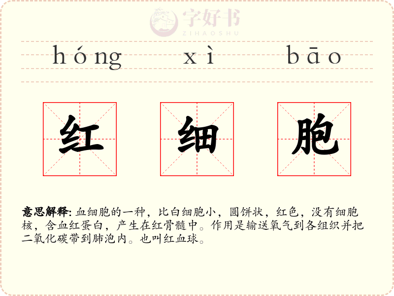 红细胞