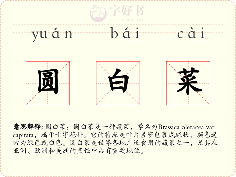 圆白菜