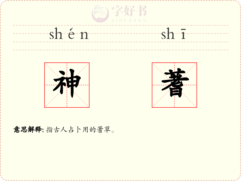 神蓍