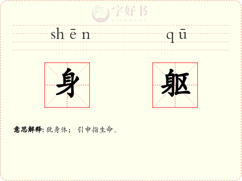 身躯