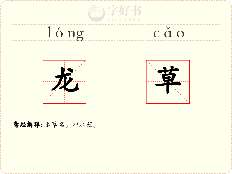 龙草