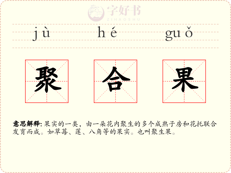 聚合果
