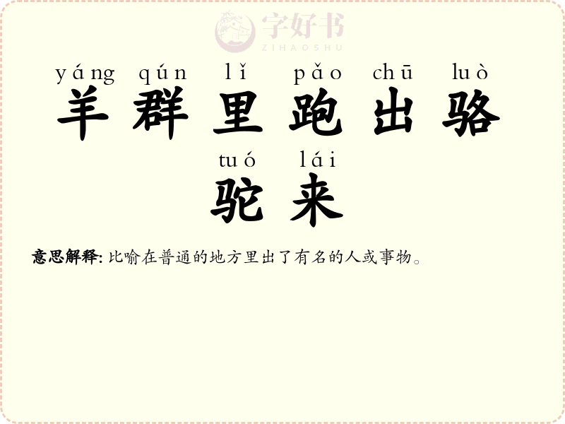 羊群里跑出骆驼来