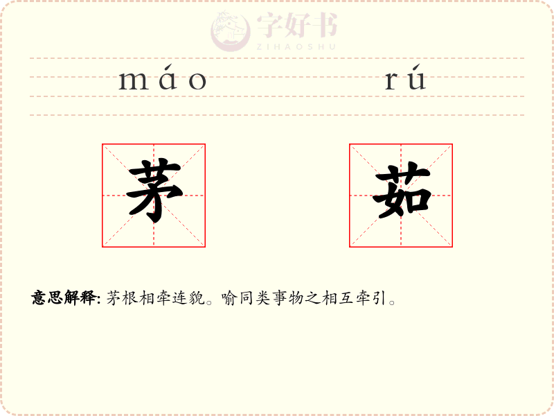 茅茹