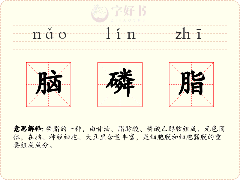 脑磷脂
