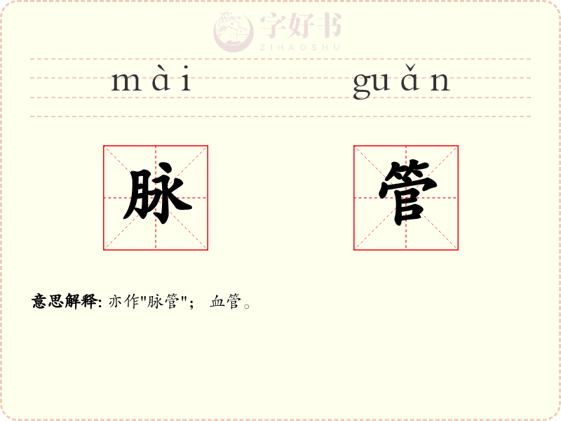 脉管