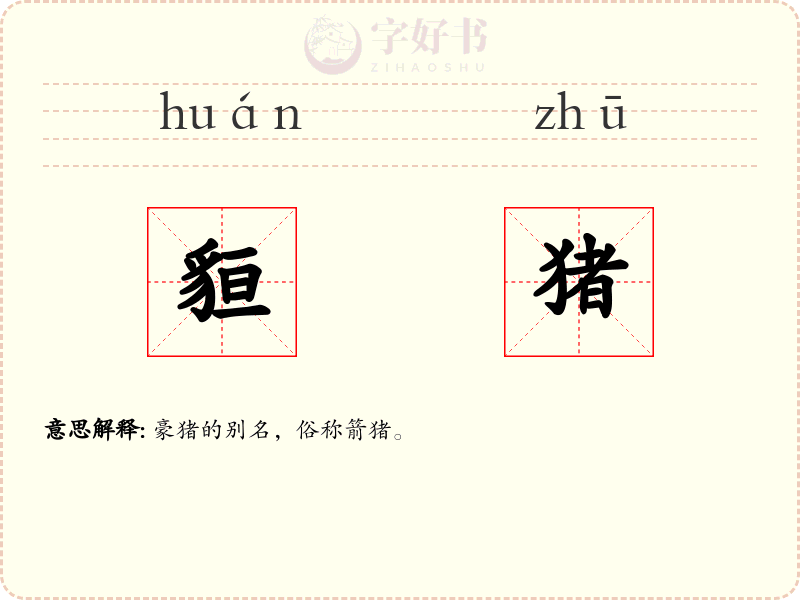 貆猪