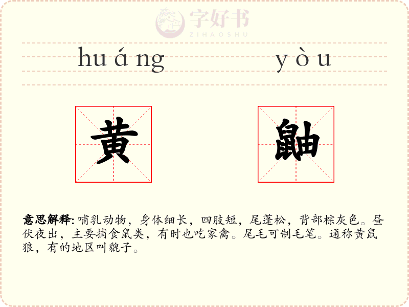 黄鼬