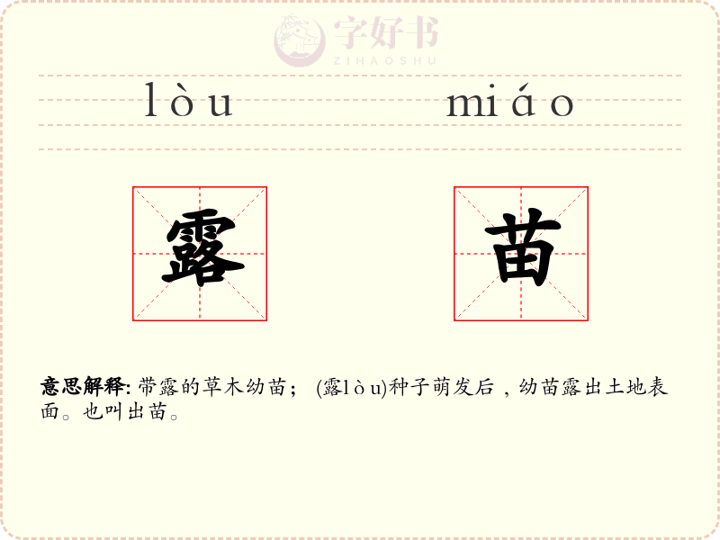 露苗