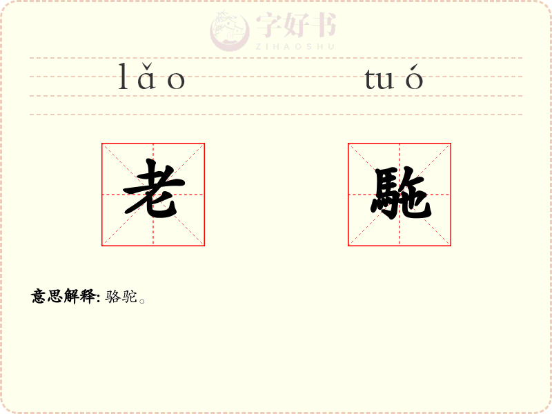 老駞
