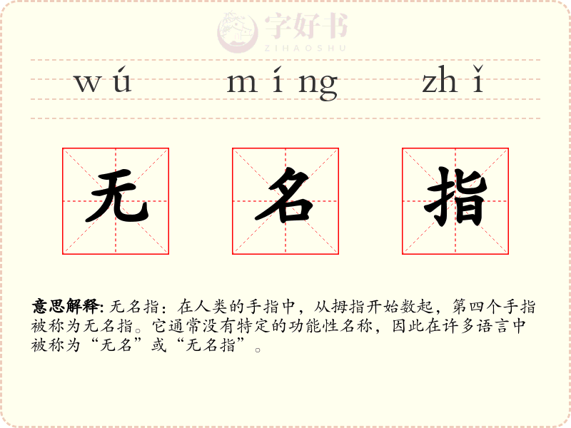 无名指