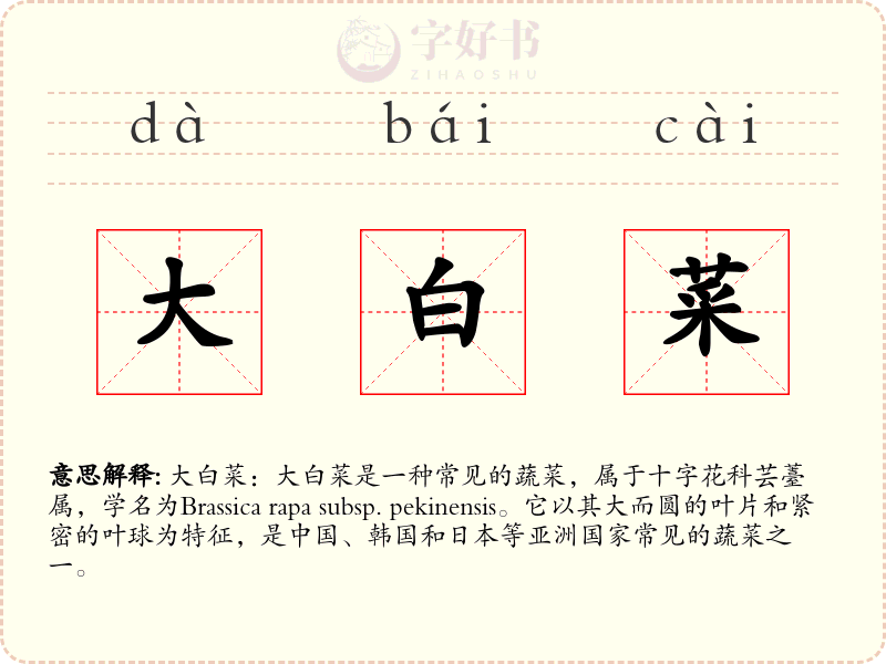 大白菜