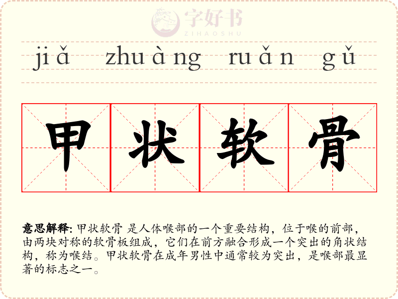 甲状软骨