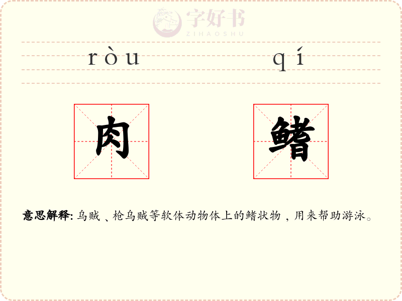 肉鳍